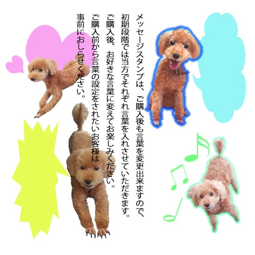 写真でアナタだけの特別なLINEスタンプ作ります !細かい設定可能!どんな写真でも可愛いの作ります! イメージ4