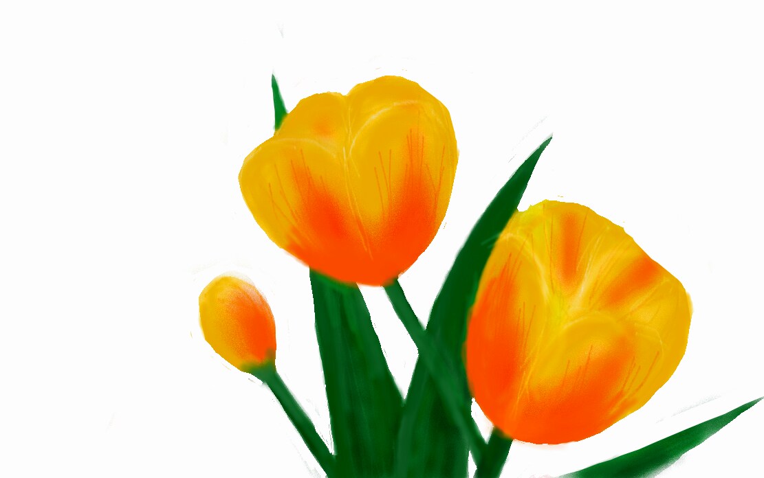 植物 花のイラストを描きます あなたのお気に入りの植物 花のイラストを描きます。 イメージ10