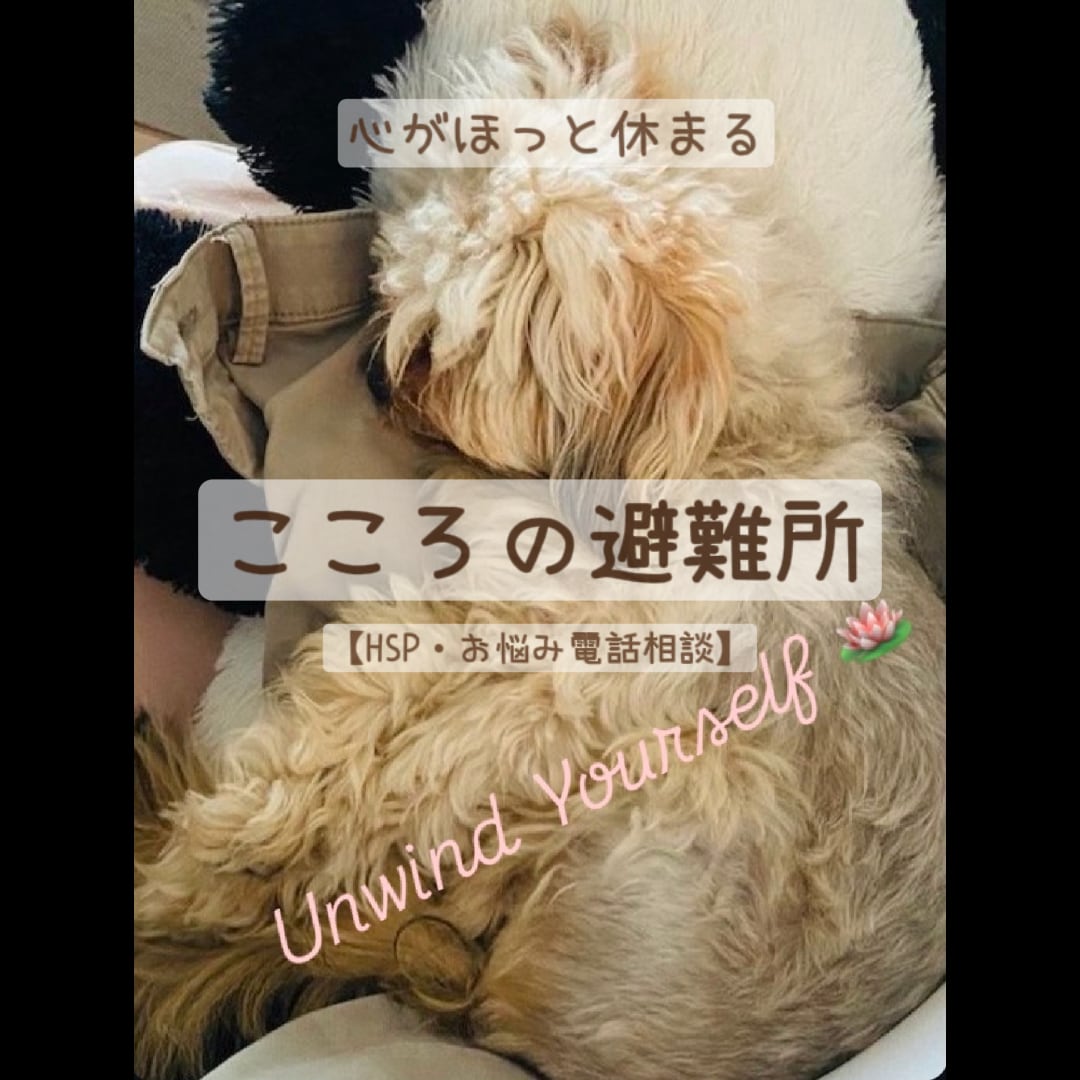 心疲れたHSPの方へ：繊細なあなたの味方になります 傷ついたあなたへ。上級心理カウンセラーが優しく寄り添います イメージ1