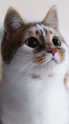 あなたに寄り添い、傷ついた心を優しく癒します 相談、雑談、愚痴聞き、あなたの心が癒えるまで寄り添います。 イメージ4