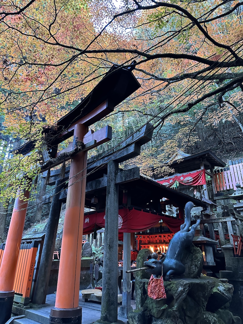 縁結びのご利益と霊視タロットの結果をお送りします 京都稲荷山山頂からの縁結びご利益と霊視タロットの鑑定結果です イメージ1