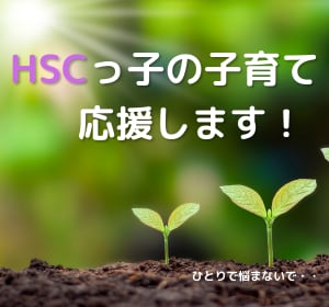 HSCのお子様に関するお悩み、お聴きします 我が子のHSC気質にどう対応したらいいか悩んでいませんか？ イメージ1