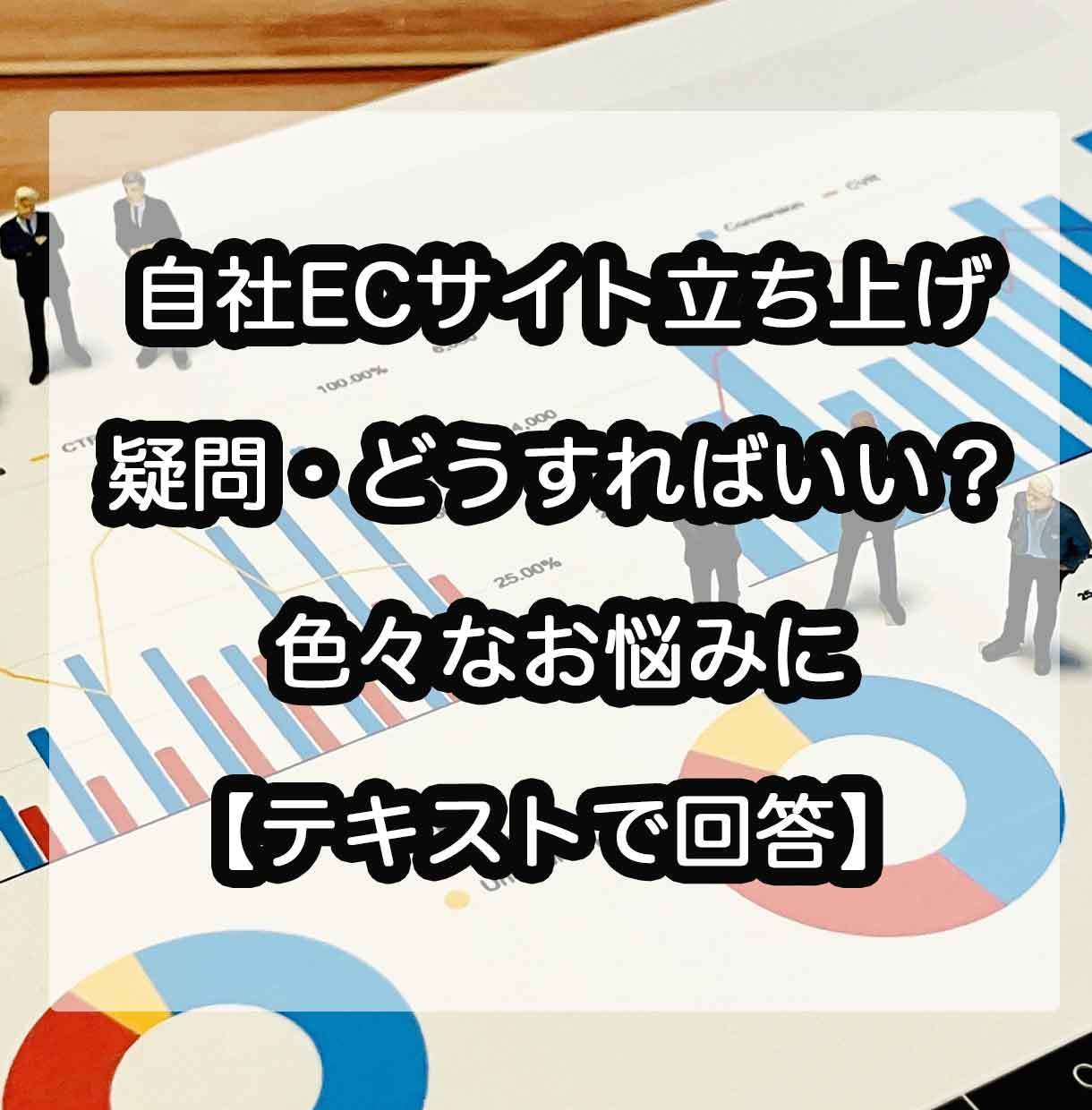 B2B EC立ち上げ疑問テキストでお答えします 元・PMOが、システム連携や要件定義の悩みを文章でサポート イメージ1