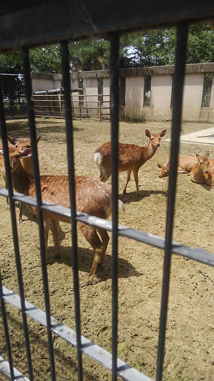 悩まれてる方のための相談提供になります 恋愛相談や話し相手がほしい人のために話を聞きます(^_^) イメージ2