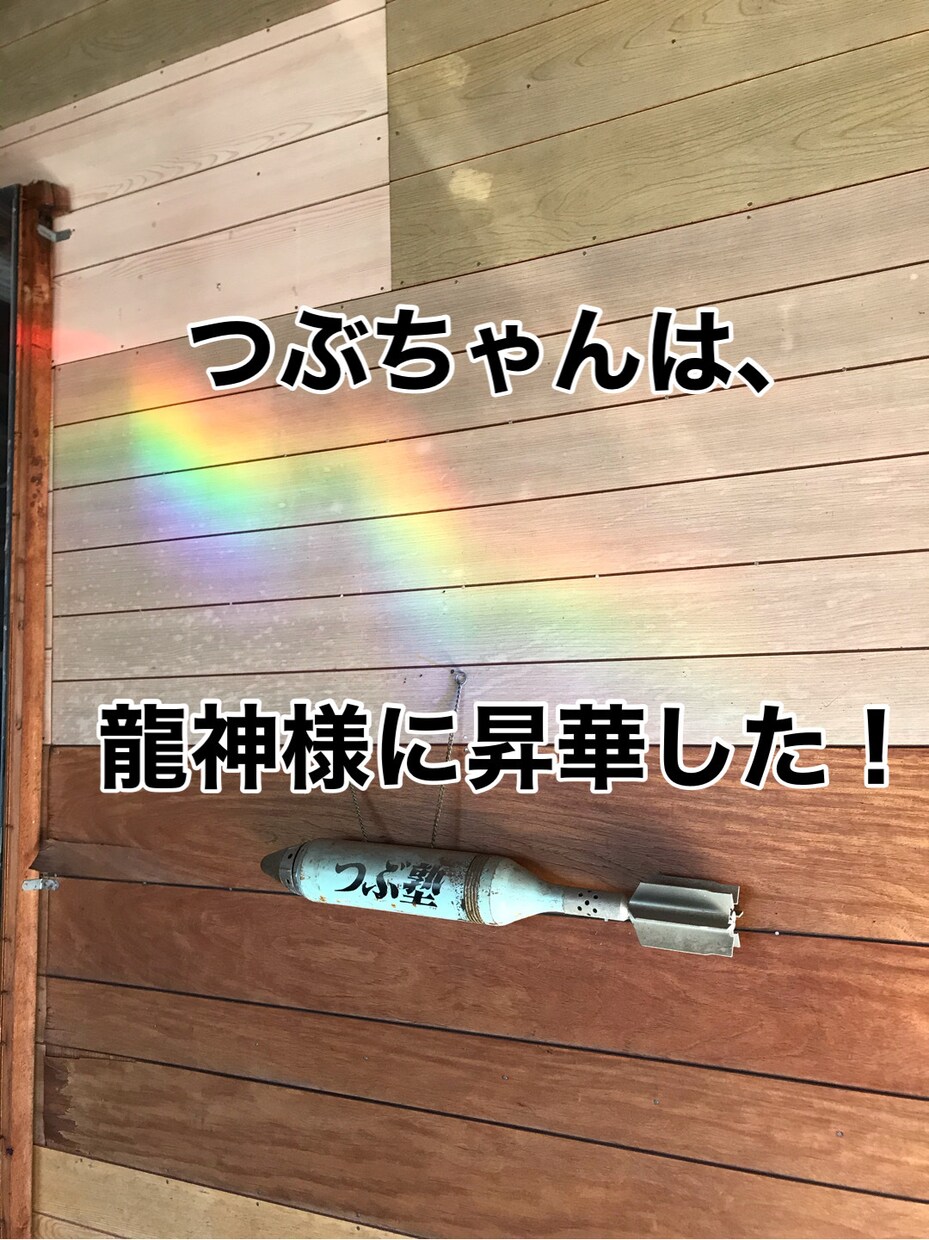 あなたが生きる暗闇を、高次元からの言霊で照らします 龍神様からのメッセージをお届けします。 イメージ1