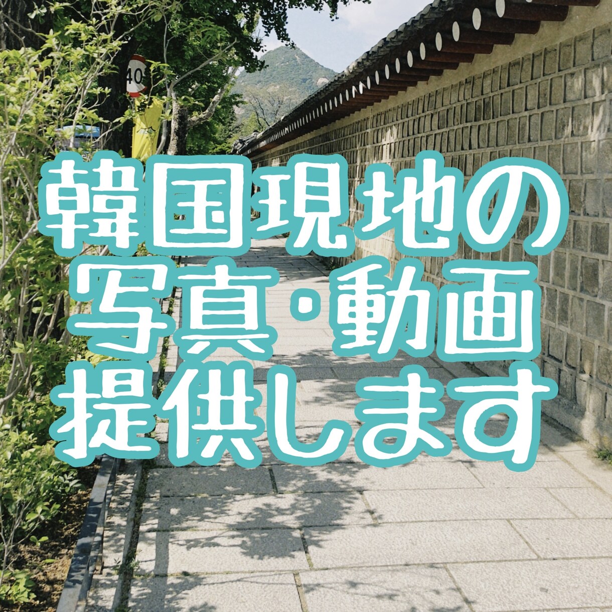 韓国ソウルで撮影した綺麗な動画と写真提供します カフェやポップアップなどリクエスト可能！プラス料金で編集も！ イメージ1