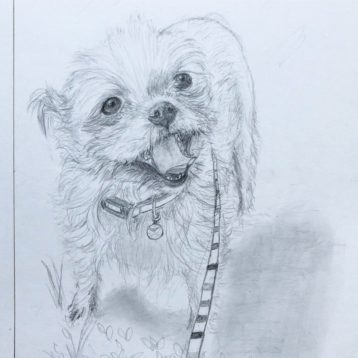愛しいわんこさんの日常描きます 一緒にいた心地よい光景を描かせて頂きます。心に触れる絵 イメージ4