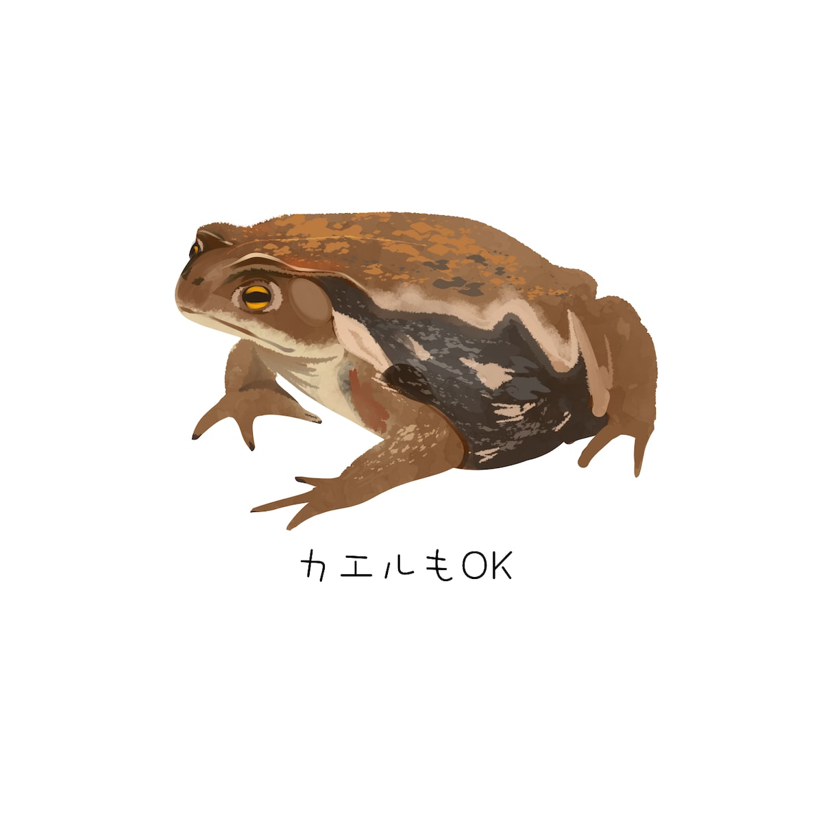ライブ即納!1時間で生き物イラスト描きます 配信中限定出品!制作過程をリアルタイムにご覧いただけます イメージ5