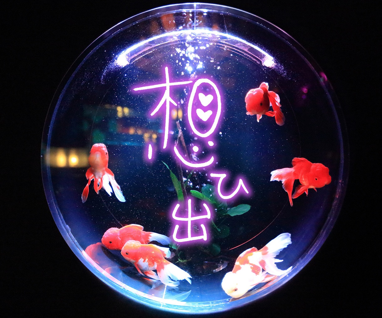 商用利用・著作権譲渡込み！ペン字データ作成致します 文字切り抜き・背景透過も無料！手書き文字をお求めのあなたに♪ イメージ8