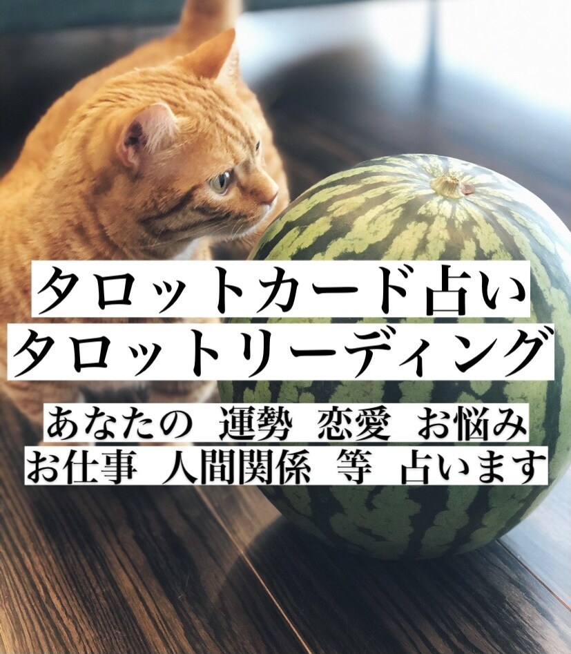 あなたのお悩みなんでも占います 占って欲しいことを的確な占い方法で鑑定診断致します。 イメージ1