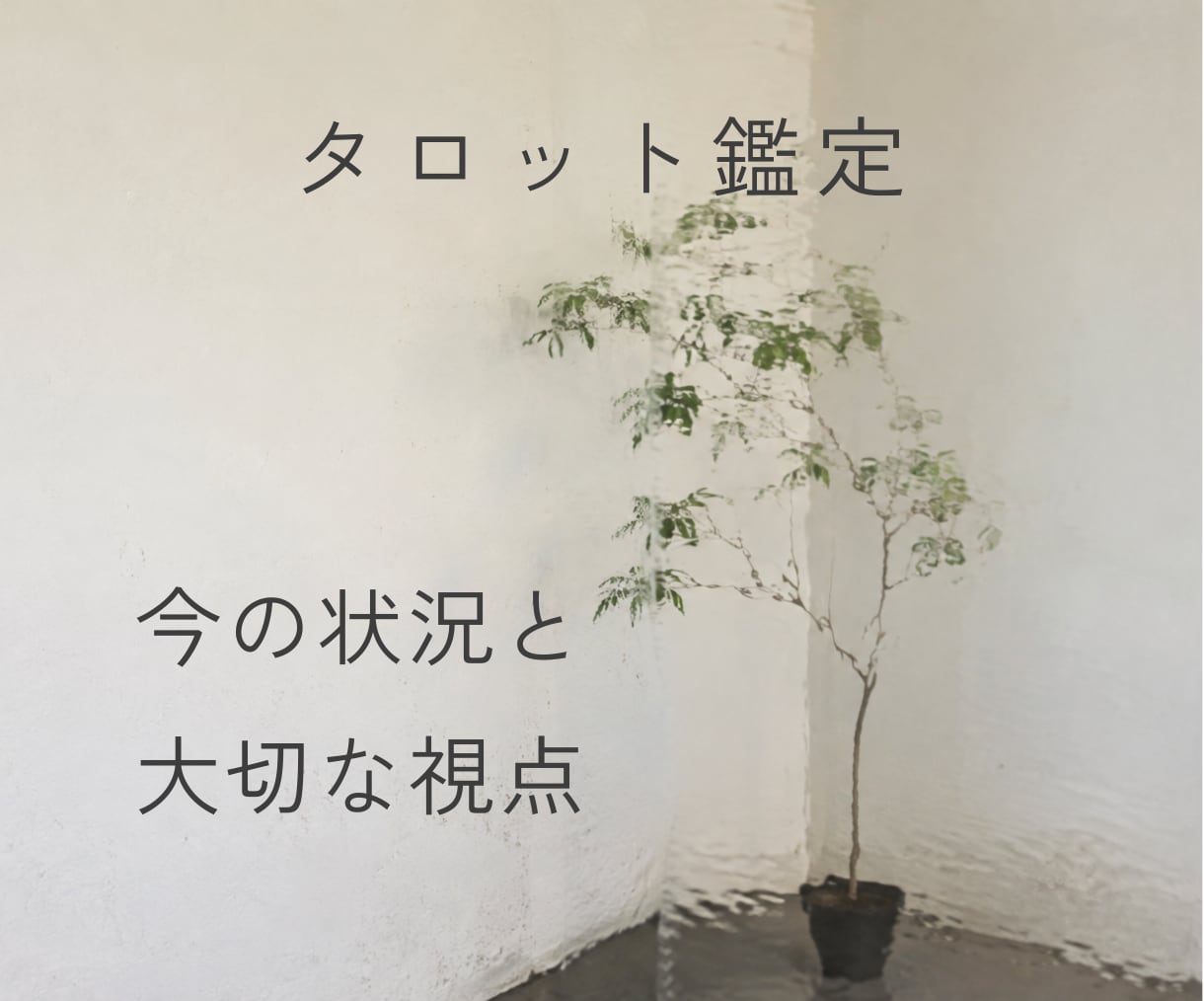 タロットで今の状況と大切な視点をお伝えします 恋愛・仕事・人間関係｜悩みに寄り添い解決のヒントを届けます イメージ1