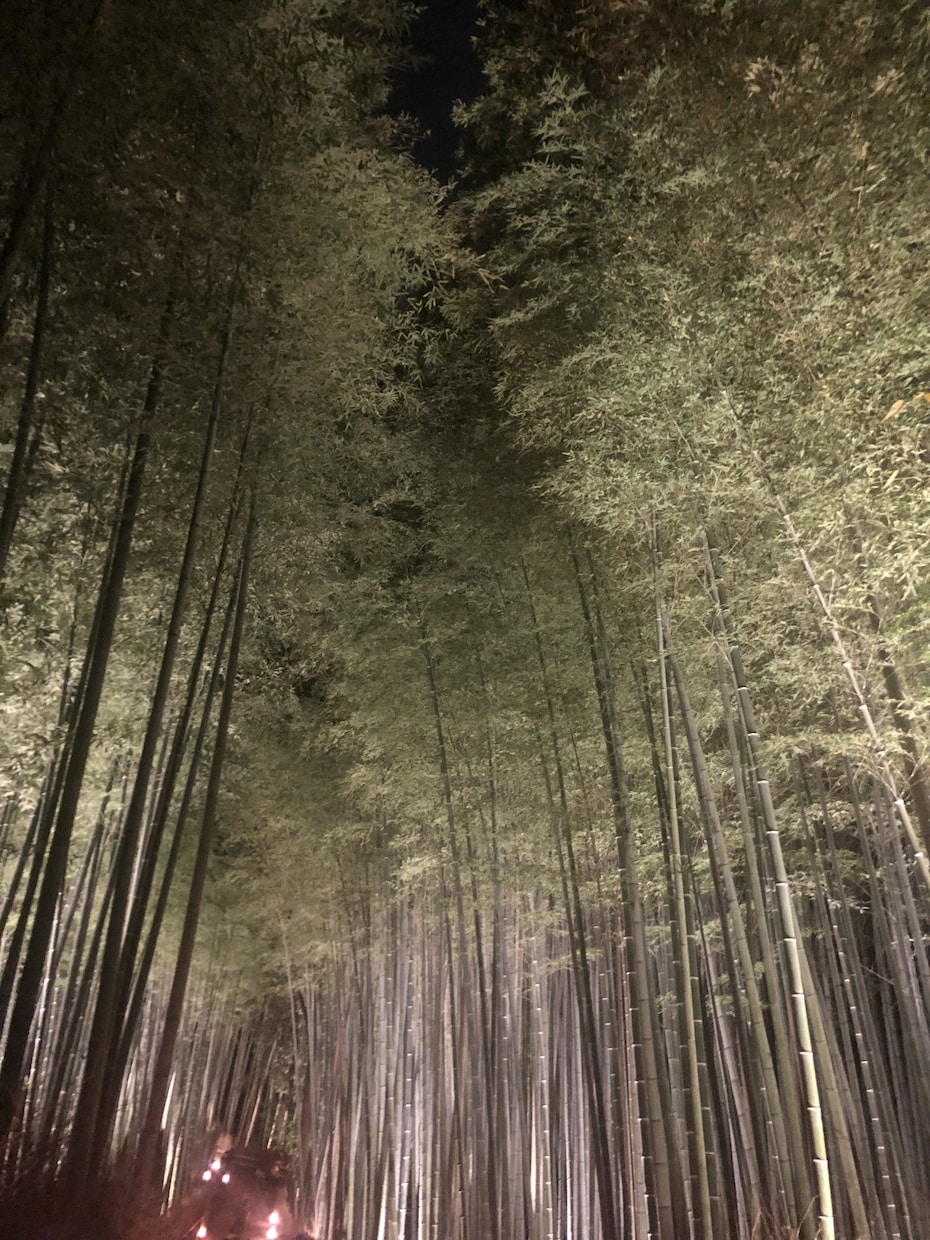 あなたにぴったりの旅行プランを考えます あなたにぴったりの旅行プランをご提供します！ イメージ1