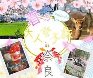 各種『広告バナー』を作成いたします 大事な一枚、"低価格で" 丁寧に制作いたします。 イメージ3