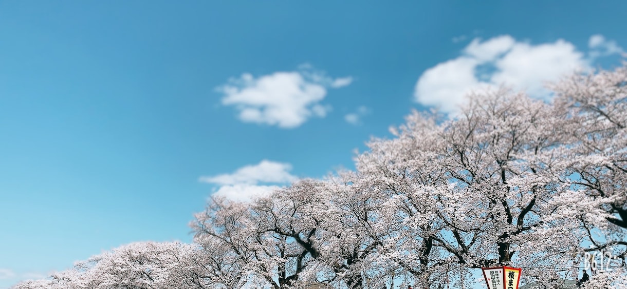 結婚についてリーディングします 貴方様の結婚は何歳？運命の人はどこ？気になりませんか？ イメージ2