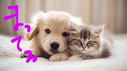 ほんの1分でも！！貴方のお気持ち受け止めます 人恋しい時、誰かに聞いてほしい時、どんな事でもお気軽に♪ イメージ10