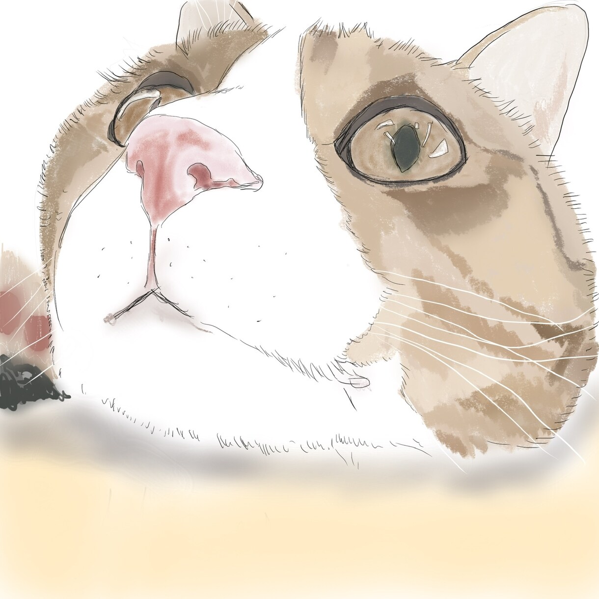 猫のイラスト書きます リアルっぽいのからデフォルメまで猫イラストかきます！ イメージ3