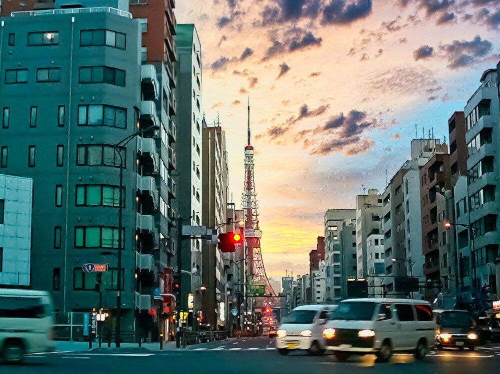 持家か賃貸かあなたの状況からアドバイス致します 人生一番の支出についてFPや不動産資格の意見を確認しませんか イメージ1