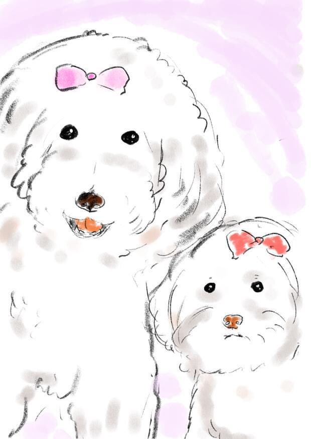 ゆるくて可愛いワンちゃんイラスト描きます ゆるくて優しいタッチの手描きデジタルイラストです イメージ4
