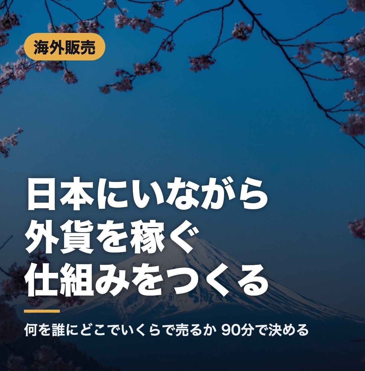 日本にいながら外貨を稼ぐ海外販売を一緒に作ります 何を誰にどこでいくらで売るかまで決めます イメージ1
