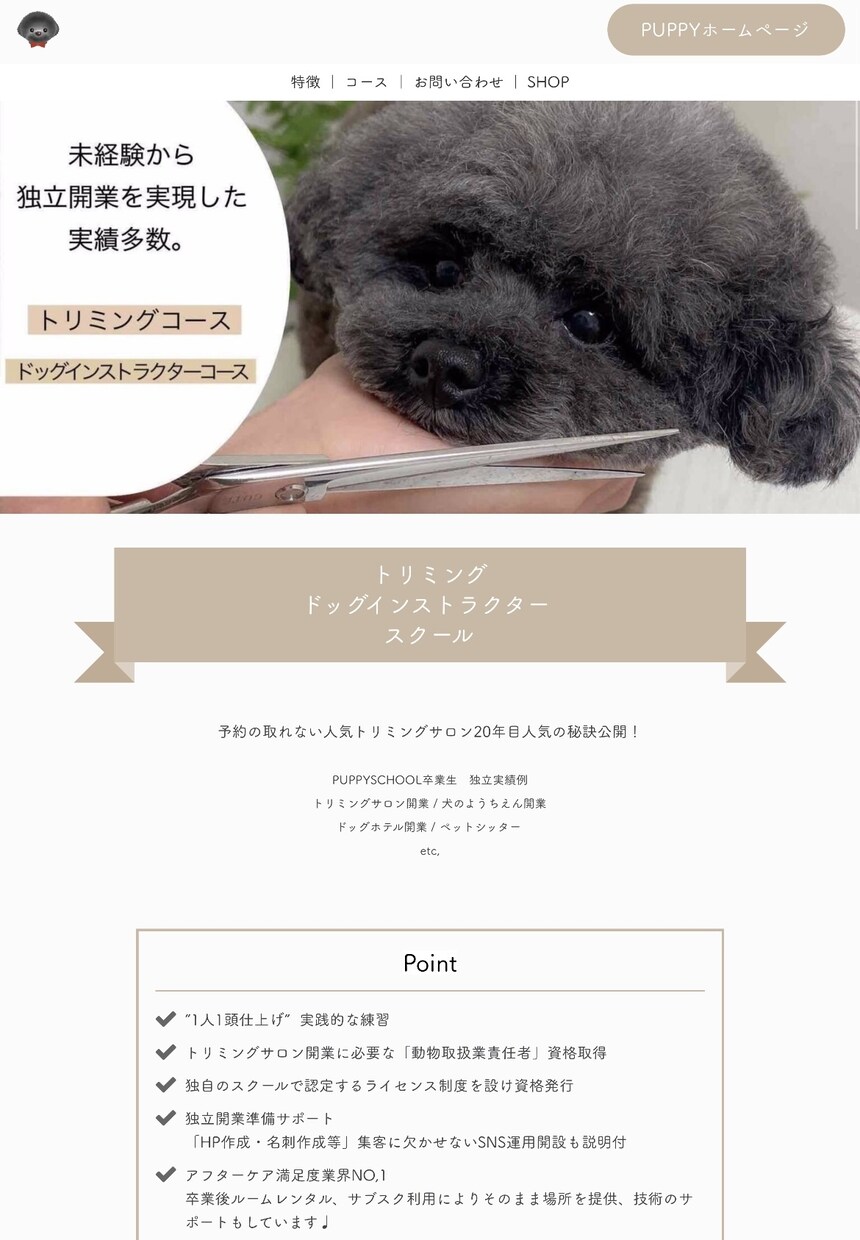LP制作（最短５日）制作いたします LP制作〜SNS広告宣伝（動画、画像制作）一括で承ります。 イメージ3