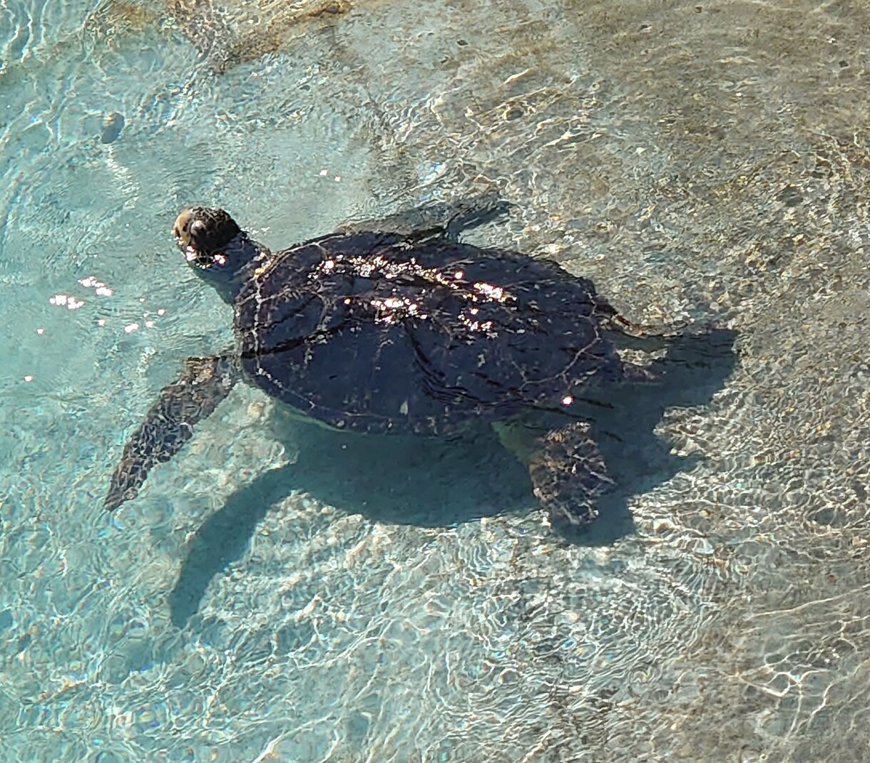 私がよみとったお相手のお気持ちをお伝えします 片想いで悩んでいる方へカードを通してメッセージを送ります イメージ1