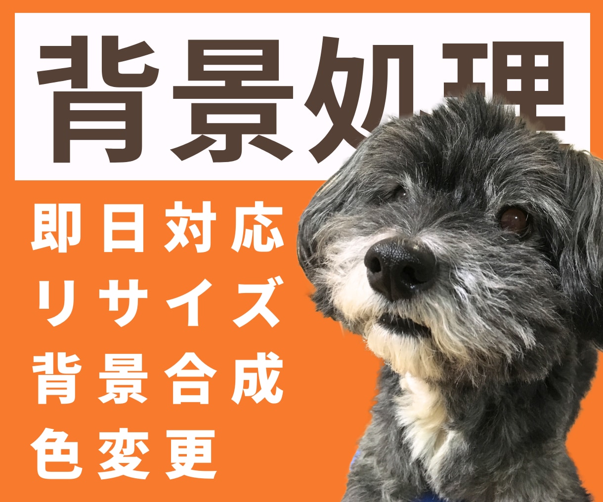 最短即日！キレイに背景透過・削除(白抜き)します ＼　通常価格　で　豊富な追加対応　／ イメージ1