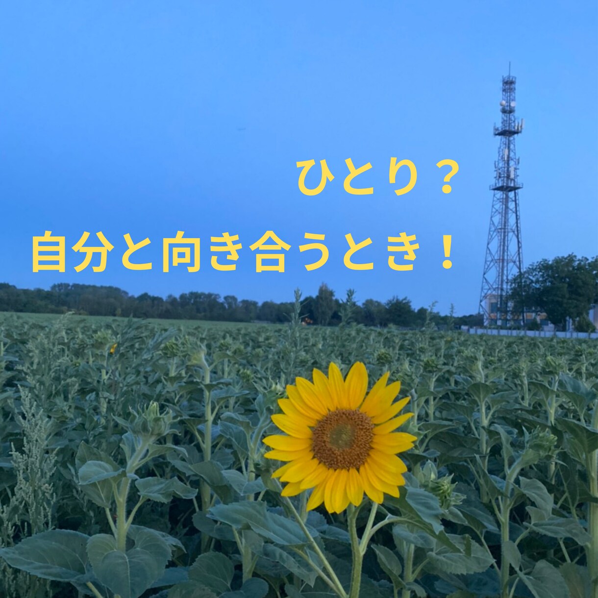 気持ちの整理を手伝います 〜繊細な人へ〜　看護師があなたの不安や悩みに寄り添います。 イメージ3