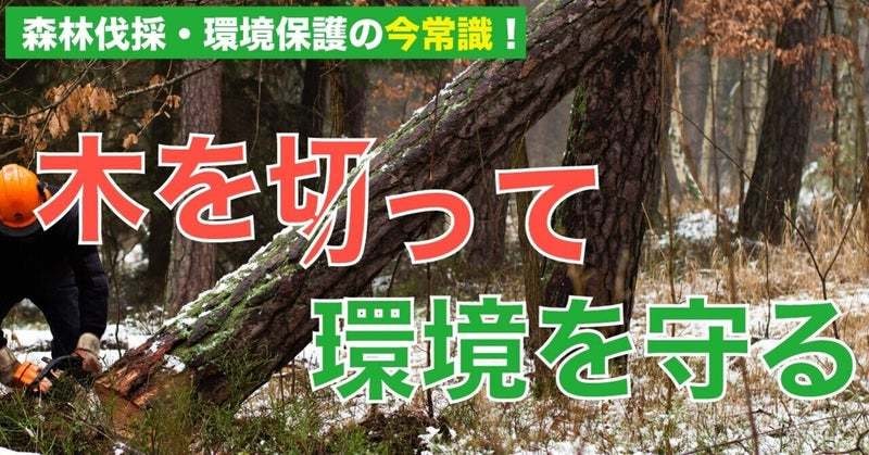 Noteのヘッダー制作承ります Illustratorを使ったヘッダーで記事をランクアップ！ イメージ2