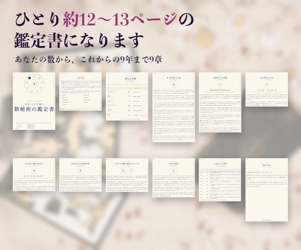 初心者向け｜数秘術の鑑定書を自動で作れます 数の出し方を学んで、そのまま鑑定に使える｜無料体験版あり イメージ3