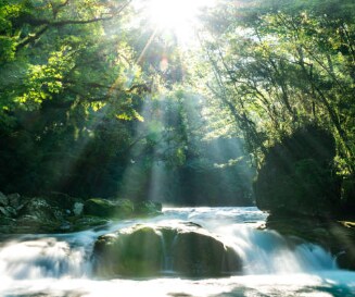 完全霊能！【相手の気持ち・未来】を霊視します 恋愛/相手の気持ち/本音/複雑な恋愛/現在・未来/男心 イメージ1