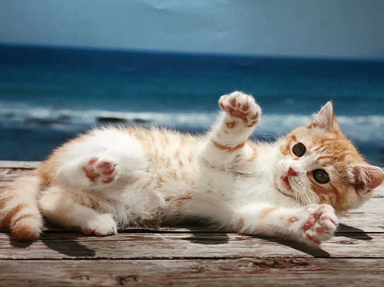 人生いろいろ〜♪ありますよね！！！話聞きます 愚痴★悩み★相談事など、なんでも聞きます！！！ イメージ10