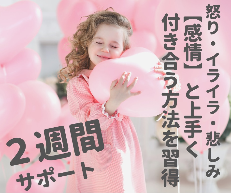 ２週間★感情整理術で自分を幸せにする方法教えます 夫婦・恋愛・人間関係のイライラ・モヤモヤを自己肯定の材料に！ イメージ1