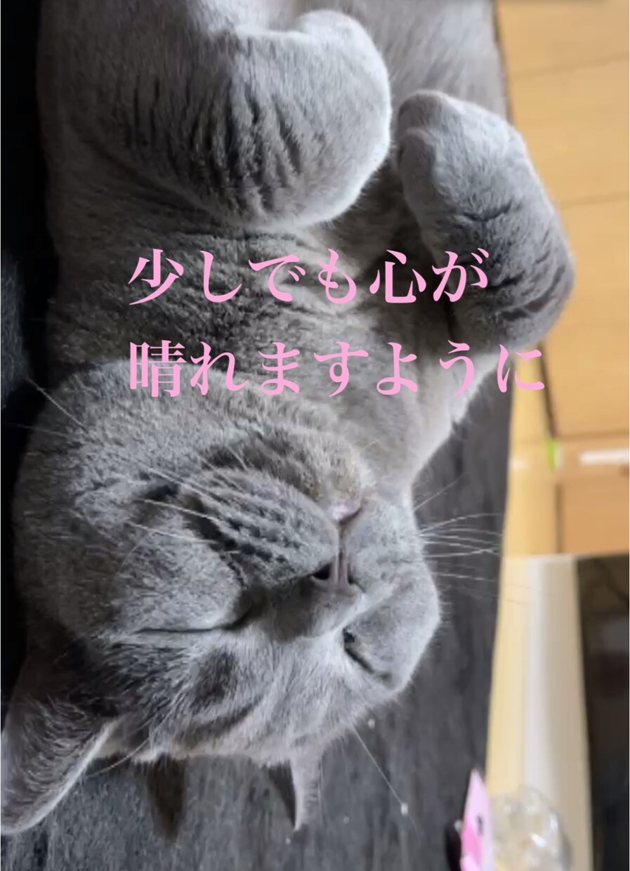 恋愛•子育て•仕事の不安や悩みなんでも相談乗ります 知らない人だから気兼ねなく話せる。心の中のゆとりになります イメージ1