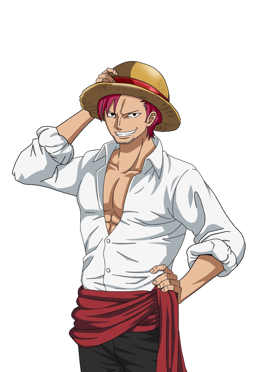 ワンピース風イラスト描きます あなたもONE PIECEのキャラに⁉️ イメージ4