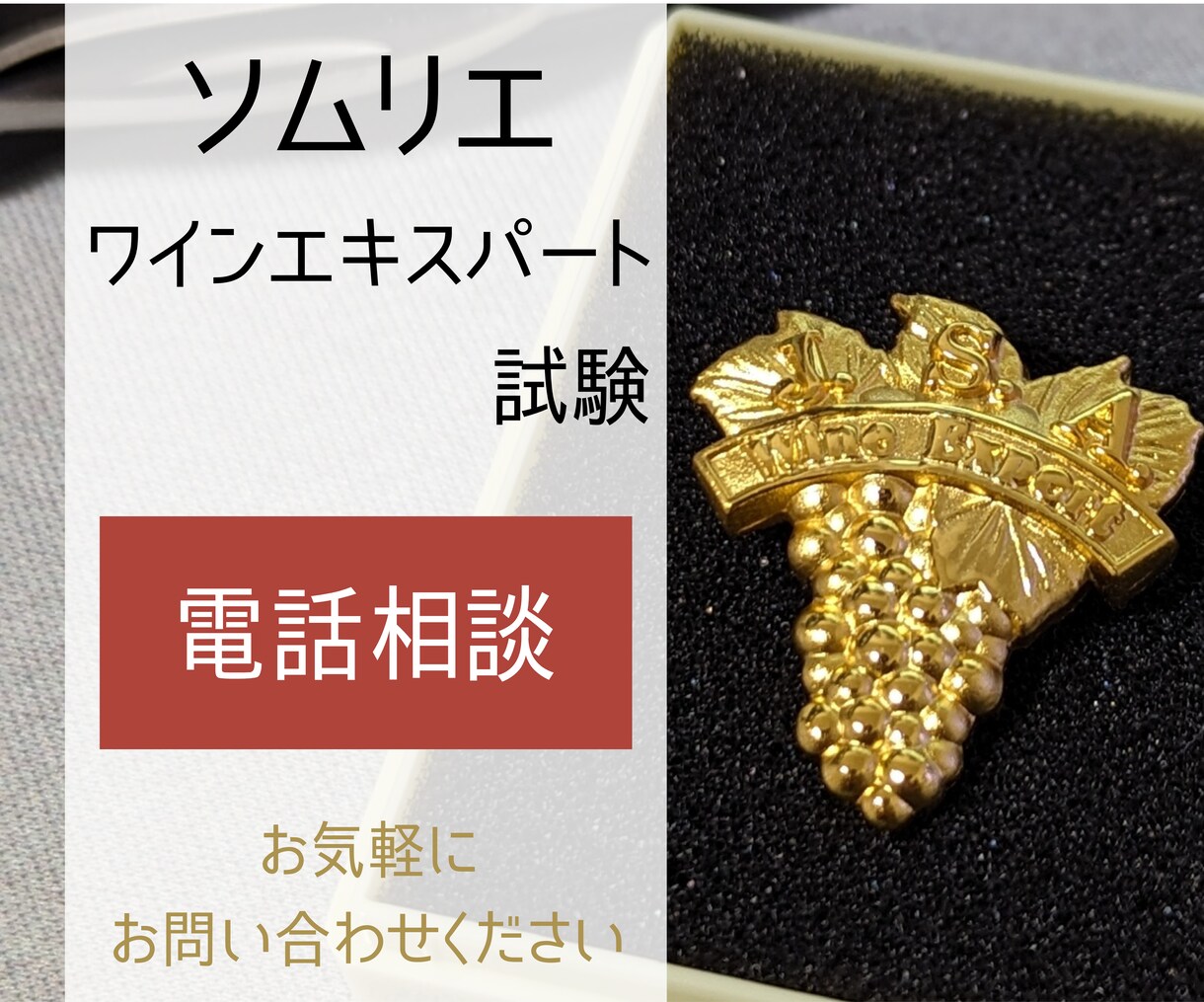 ソムリエ試験合格に向けてアドバイスいたします ワインエキスパートが合格に向けてアドバイスいたします！ イメージ1