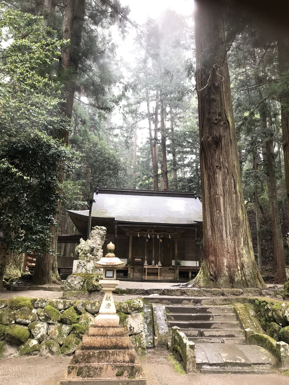 直感力での解決的なアドバイスをします 自分自身での直感力を学び話法・観察力。気付き鍛錬力。 イメージ3