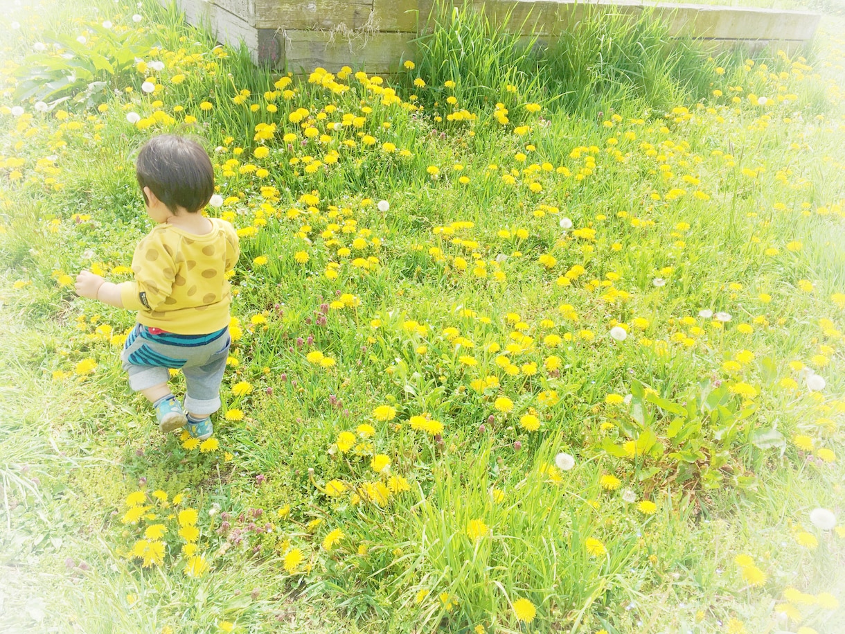 【タロット占い】お子様の気持ち。悩み。聞きます。お気軽にお話しください。 イメージ1