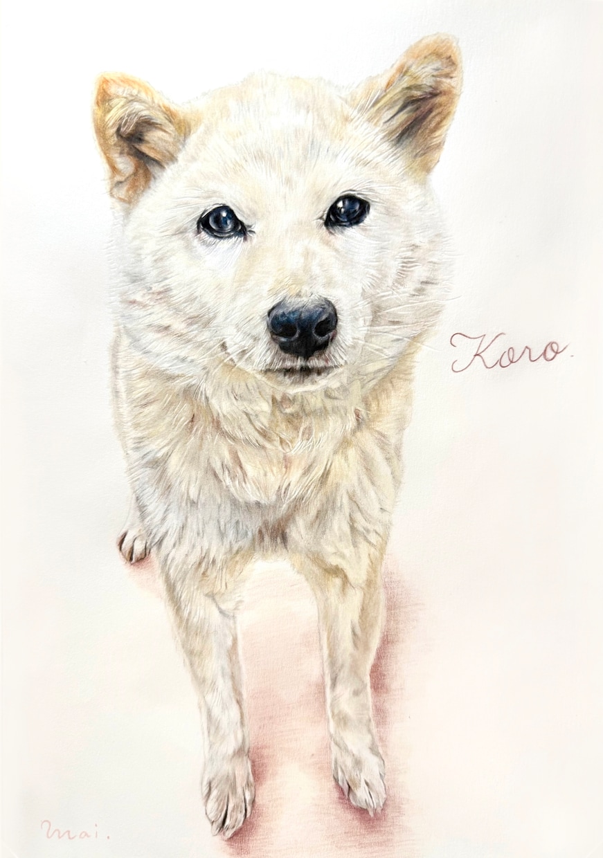 美大卒がペットちゃんの似顔絵お描きします ハイクオリティな色鉛筆画！プレゼントにおすすめ♪【額縁付き】 イメージ5