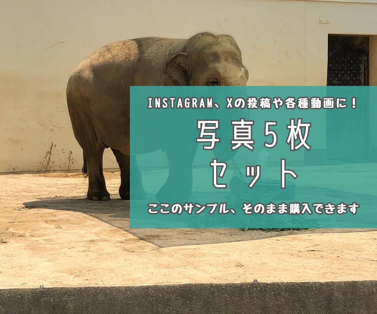 動物園の写真　【先着5名】　5→10枚提供します 商用利用OK！掲載写真全て、各種画像・動画に使えます！ イメージ1