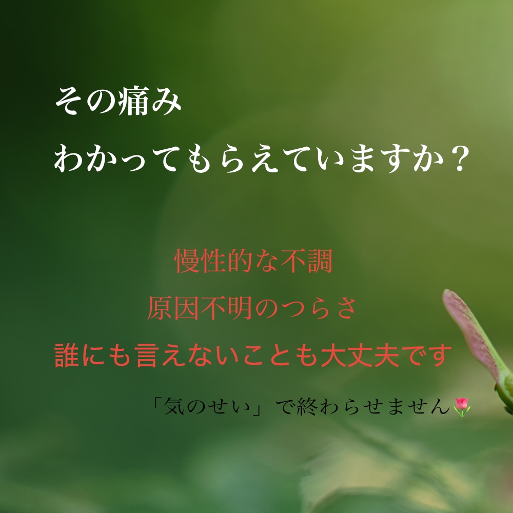 体の痛み辛さを抱え込まないで/経験者が受けとめます 悩み全般/更年期・肩こり・腰痛・闘病・難病/東洋医学・ツボ イメージ2