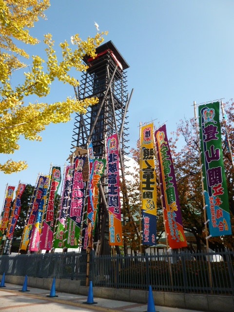 生の大相撲観戦の楽しみ方を聞けます 大相撲ファン歴１０年！地方場所も制覇！ イメージ1