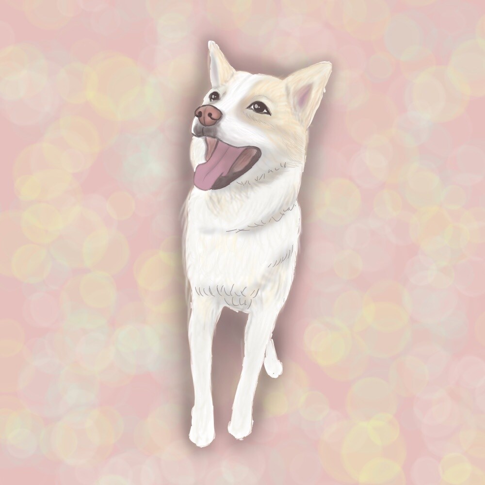 ワンちゃん、猫ちゃんの似顔絵描きます リアルな感じの犬、猫ちゃんの似顔絵を描かせていただきます！ イメージ7