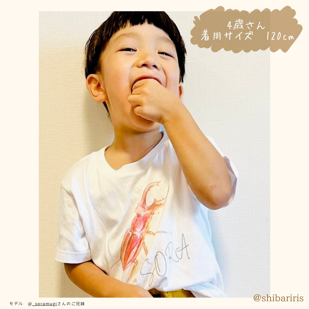 世界に一つだけ！お名前入り昆虫Tシャツお届けします 【名入れTシャツ・送料無料】ニジイロクワガタ イメージ3