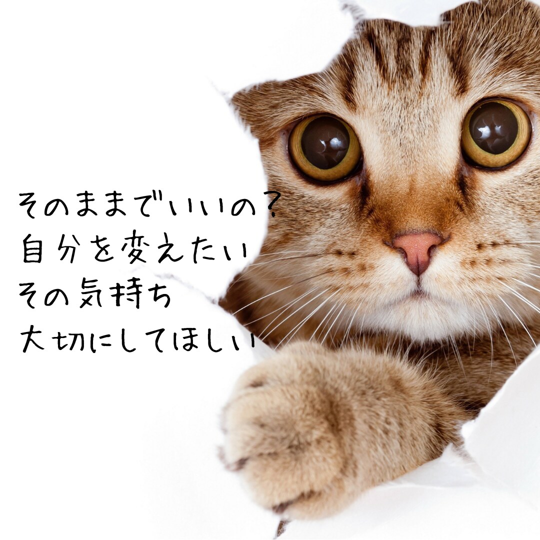現状を変えたいと思うあなたの勇気をサポートします 今の状況が辛い…どうしていいかわからないあなたのパートナー イメージ1