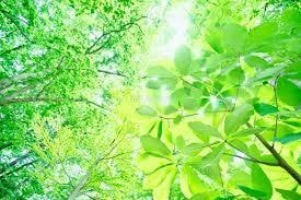 気になることお聞きします 関西弁でもいいですか？あなたのお話お伺いします イメージ1
