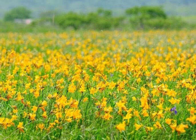 3分でもお話し聞きます 聞いて　聞いて　聞いて　聞いて イメージ9