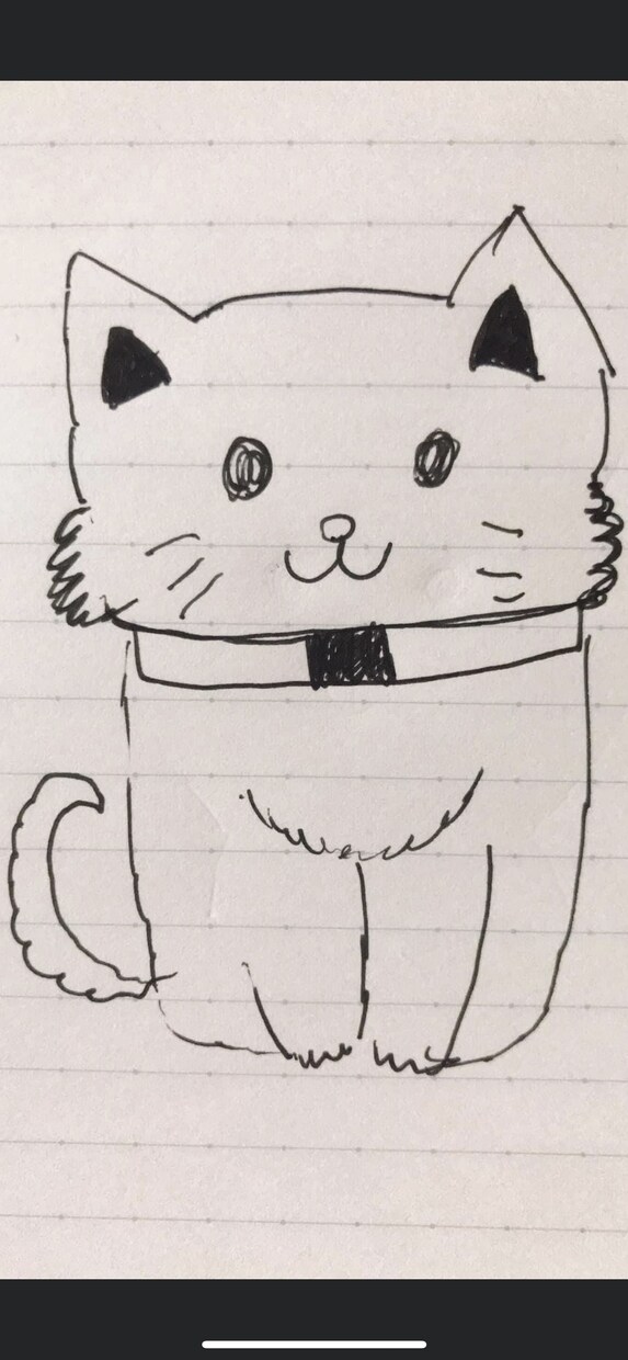 人の描いたイラストが好きな人におくります 下手くそやけど気持ちを込めて描いたイラスト イメージ2