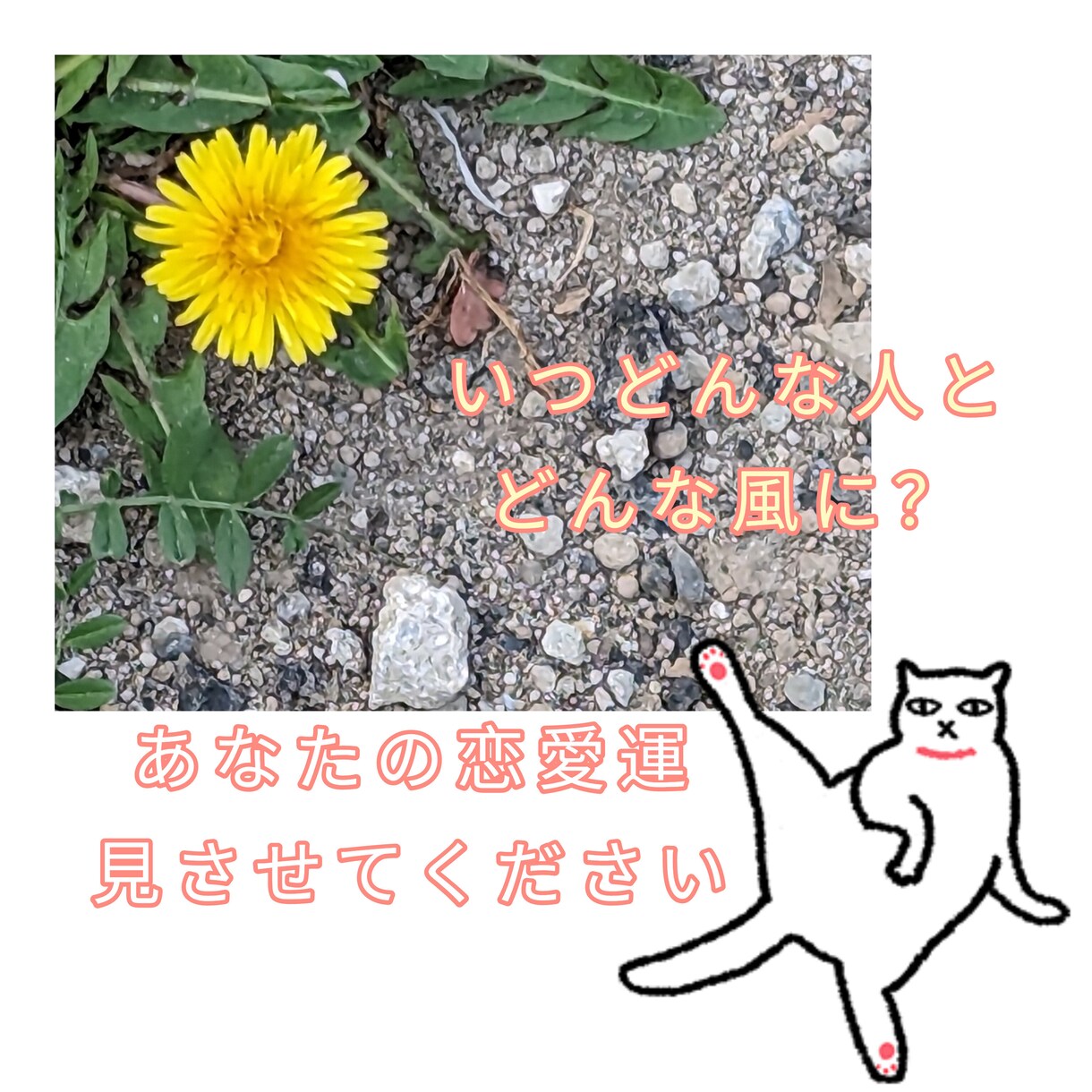 特別価格！恋愛運、タロットカードに聞いてみます 夏が来る前に！恋をしたい！いつになったらどんな恋人ができる？ イメージ2