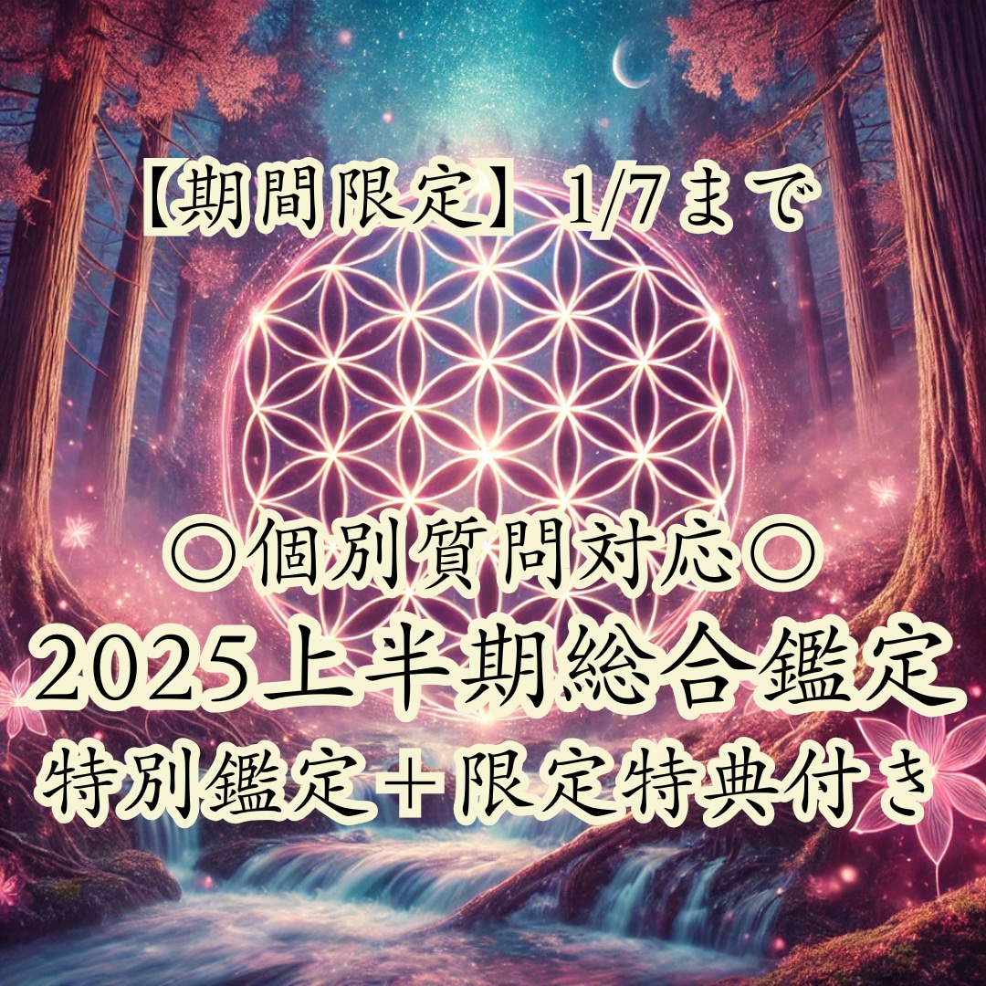 2025年上半期総合鑑定《＋個別詳細鑑定》します 【期間限定】1/7まで特別鑑定＋限定特典付き イメージ1