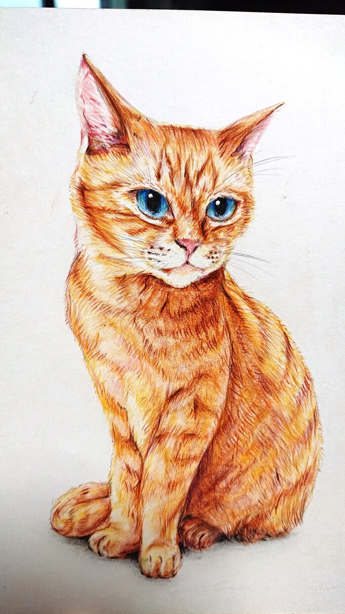 あなたの猫ちゃんをリアルに色鮮やかに描きます ご自宅に飾ったり、プレゼントやお祝いなどにもおすすめです！ イメージ2